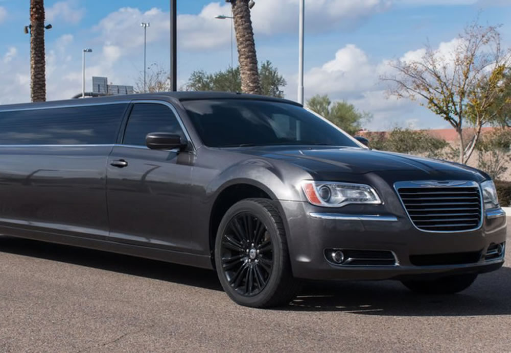 10 Passenger Limousine