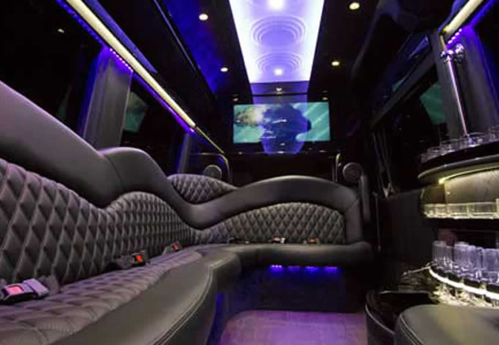 12 Passenger Limousine